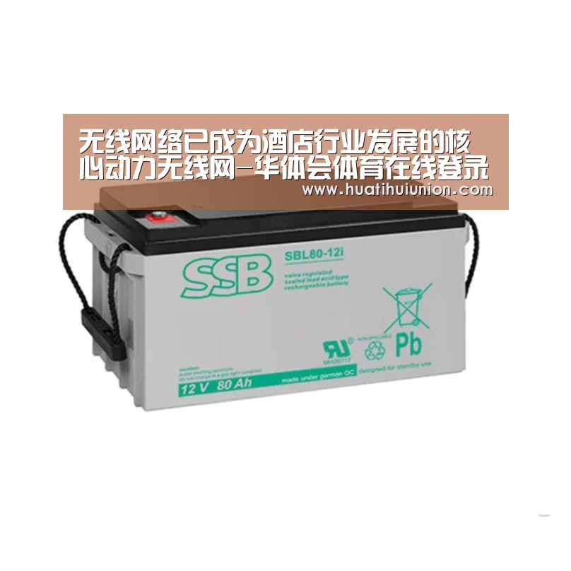 无线网络已成为酒店行业发展的核心动力无线网-华体会体育在线登录(图2) 无线网络已成为酒店行业发展的核心动力无线网-华体会体育在线登录(图2)
